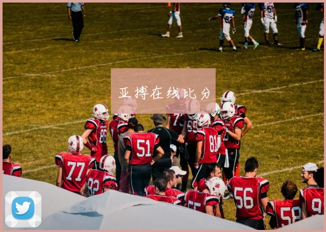 亚搏在线比分