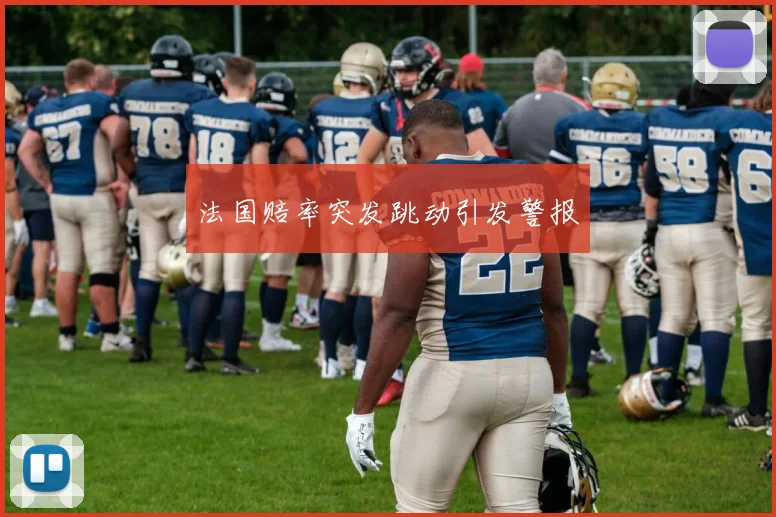 法国赔率突发跳动引发警报