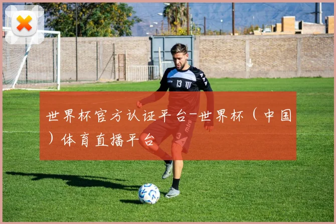 世界杯官方认证平台-世界杯（中国）体育直播平台