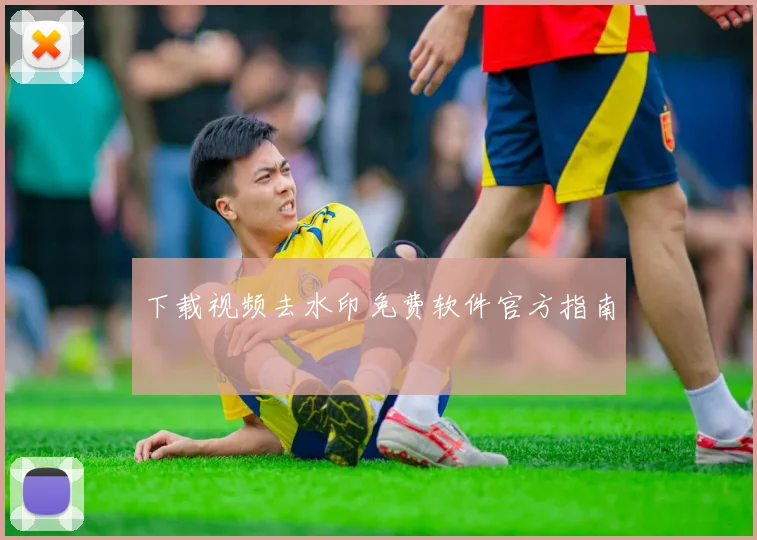 下载视频去水印免费软件官方指南