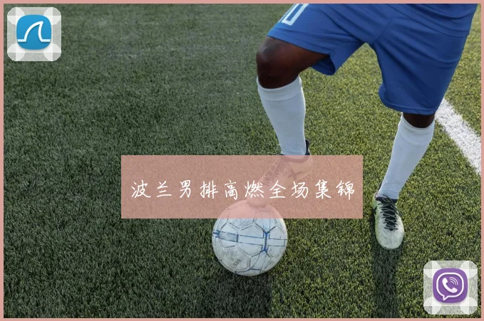 波兰男排高燃全场集锦