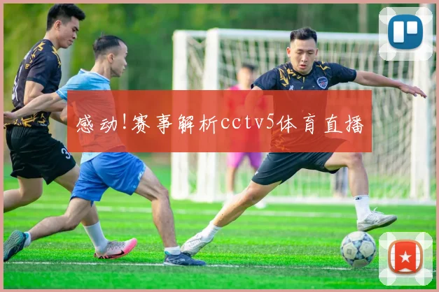 感动!赛事解析cctv5体育直播