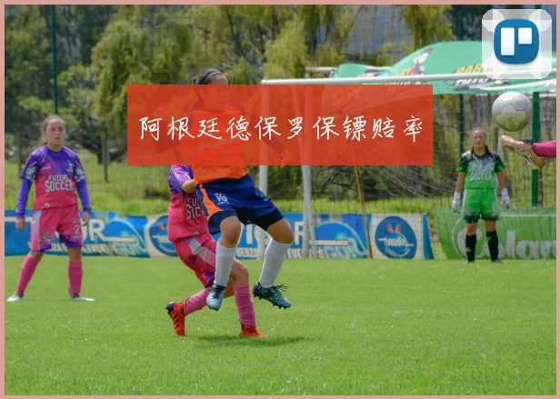 阿根廷德保罗保镖赔率