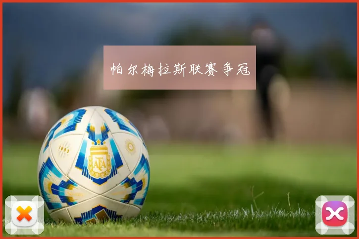 帕尔梅拉斯联赛争冠