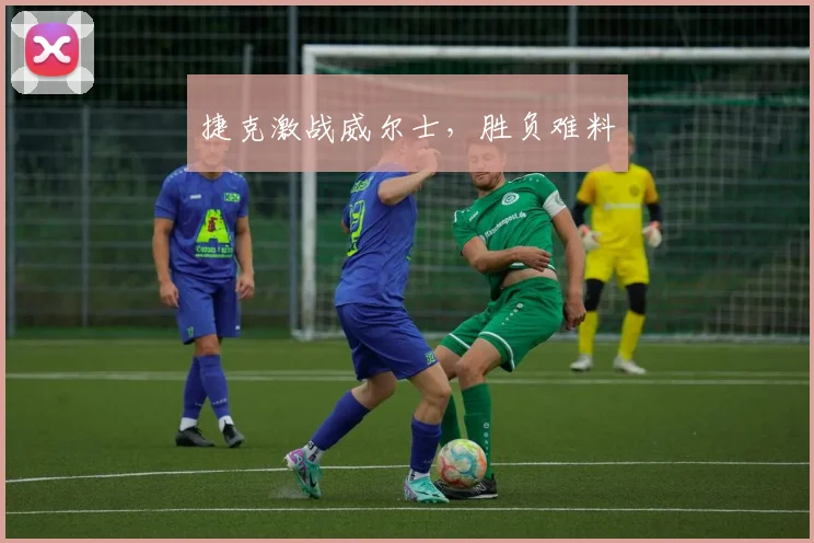 捷克激战威尔士，胜负难料