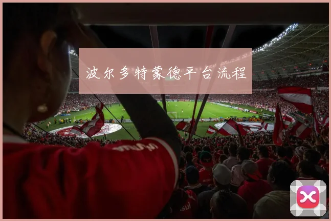 波尔多特蒙德平台流程