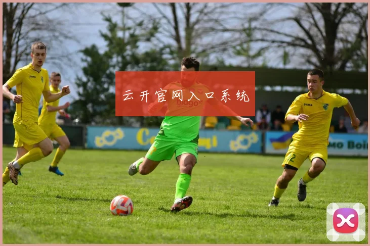 云开官网入口系统