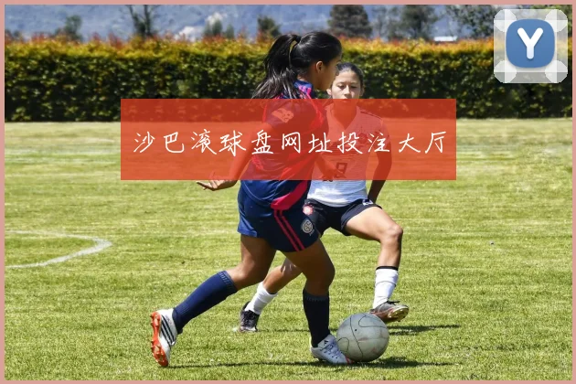 沙巴滚球盘网址投注大厅
