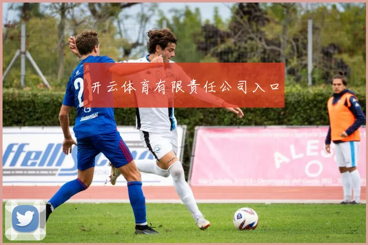 开云体育有限责任公司入口
