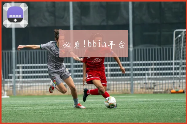 必看!bbin平台
