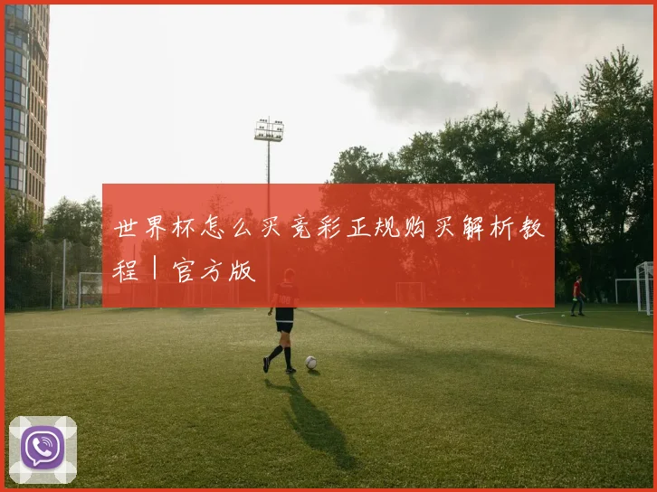 世界杯怎么买竞彩正规购买解析教程|官方版