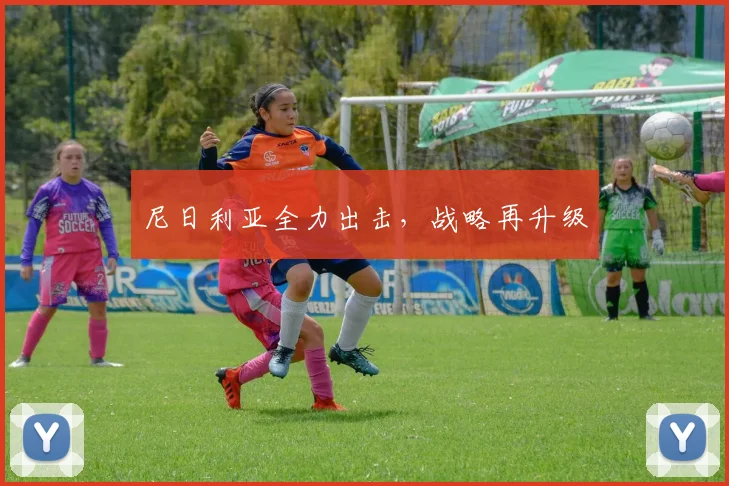 尼日利亚全力出击，战略再升级