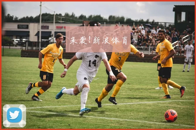 来袭!新浪体育