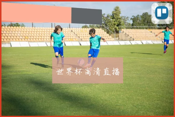 世界杯高清直播