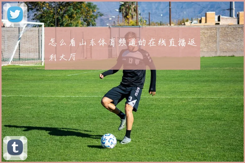 怎么看山东体育频道的在线直播返利大厅