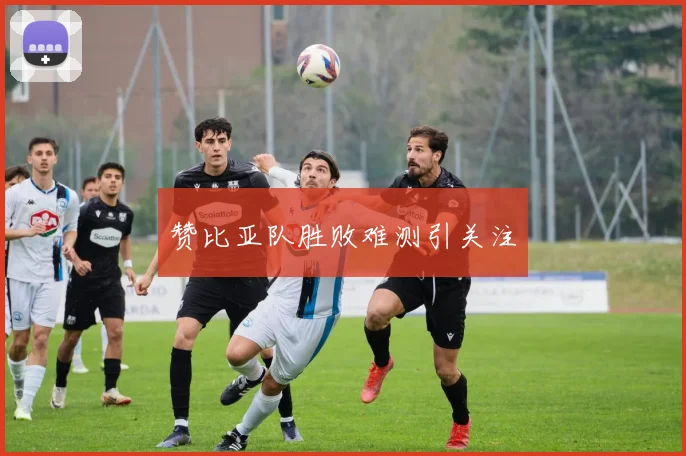 赞比亚队胜败难测引关注