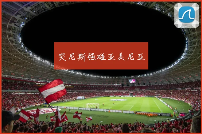 突尼斯强碰亚美尼亚