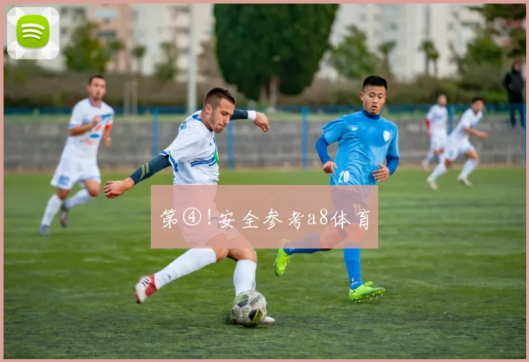 第④!安全参考a8体育