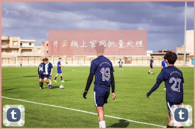 开云线上官网批量处理