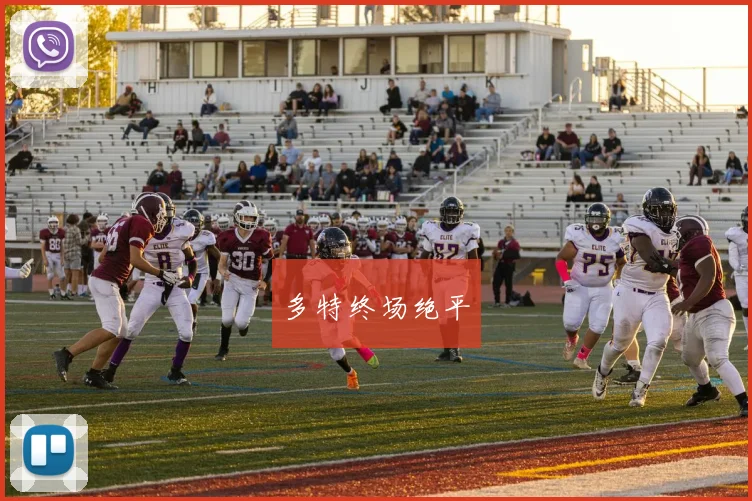 多特终场绝平