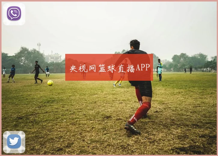 央视网篮球直播APP