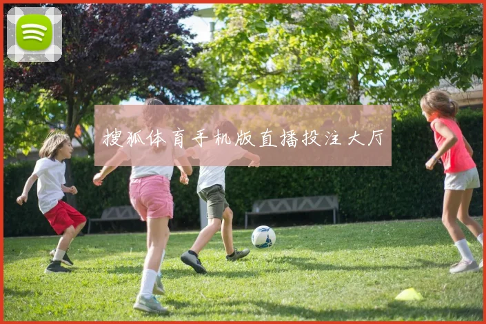 搜狐体育手机版直播投注大厅