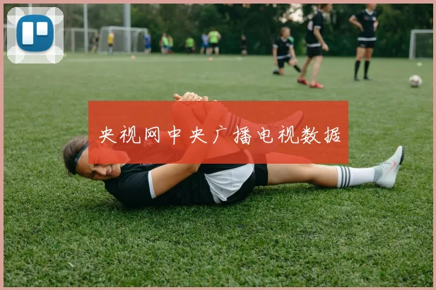 央视网中央广播电视数据