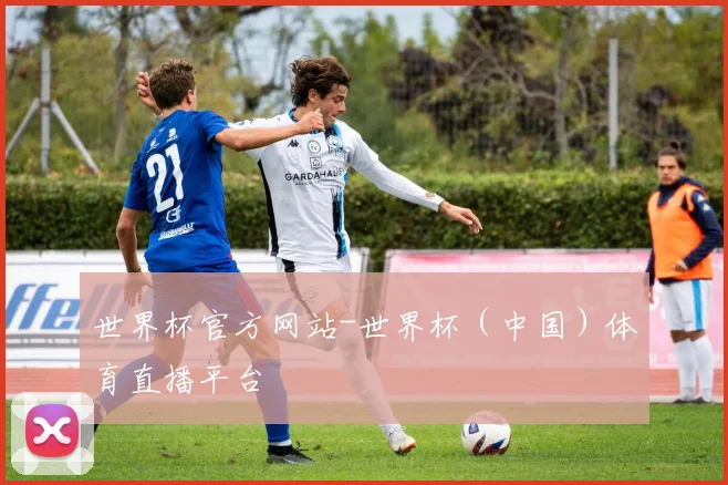 世界杯官方网站-世界杯（中国）体育直播平台