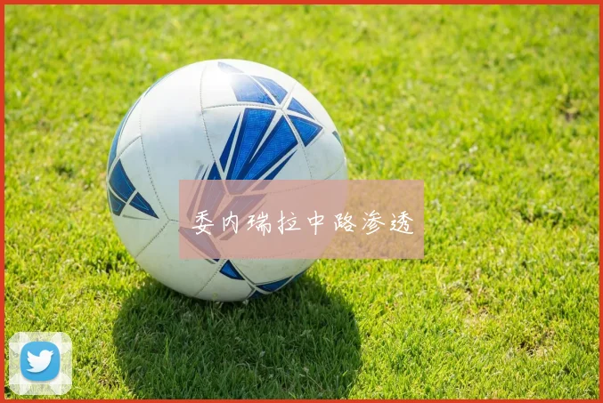 委内瑞拉中路渗透