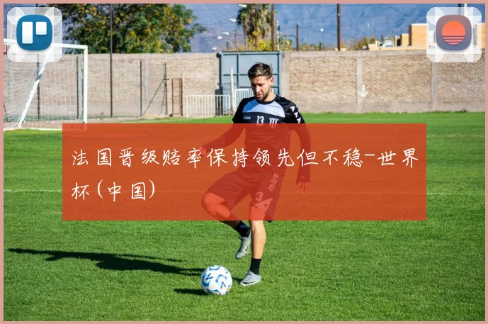 法国晋级赔率保持领先但不稳-世界杯(中国)
