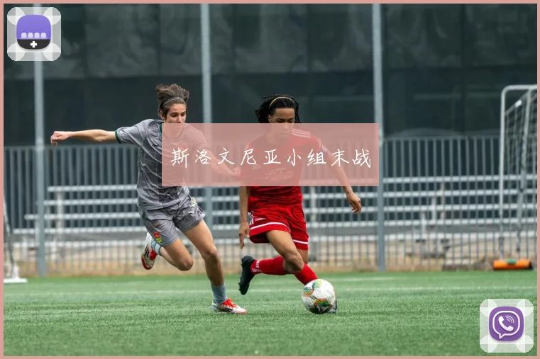 斯洛文尼亚小组末战