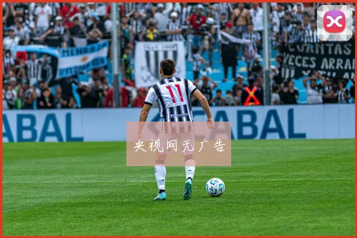 央视网无广告