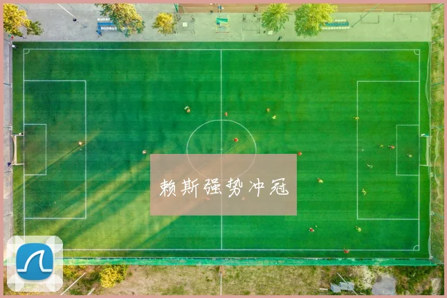 赖斯强势冲冠