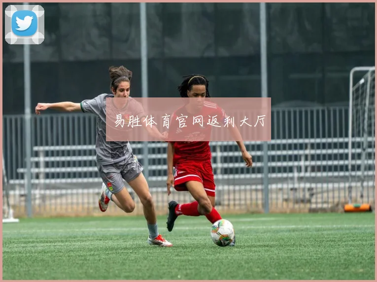 易胜体育官网返利大厅