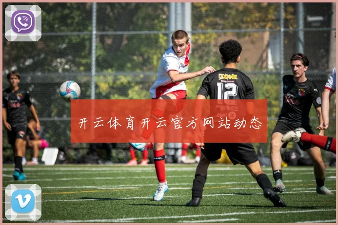 开云体育开云官方网站动态