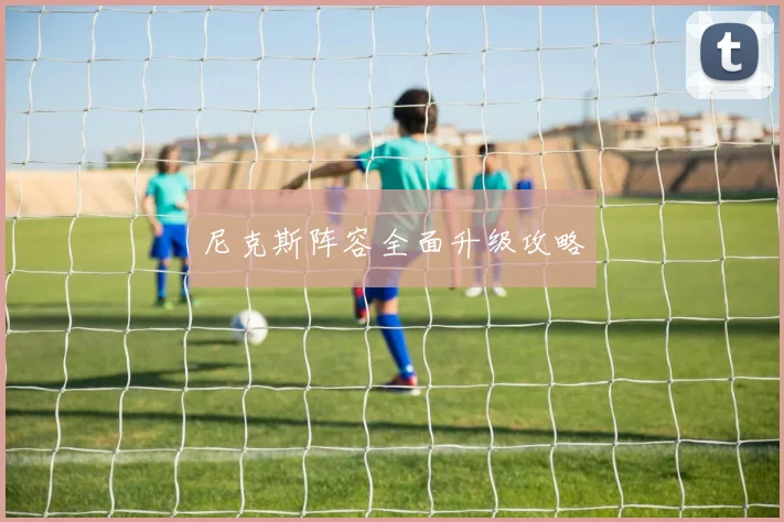 尼克斯阵容全面升级攻略