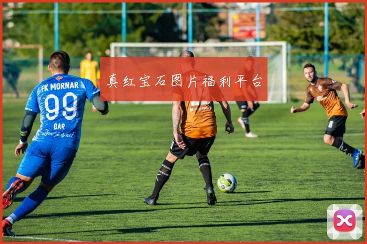 真红宝石图片福利平台