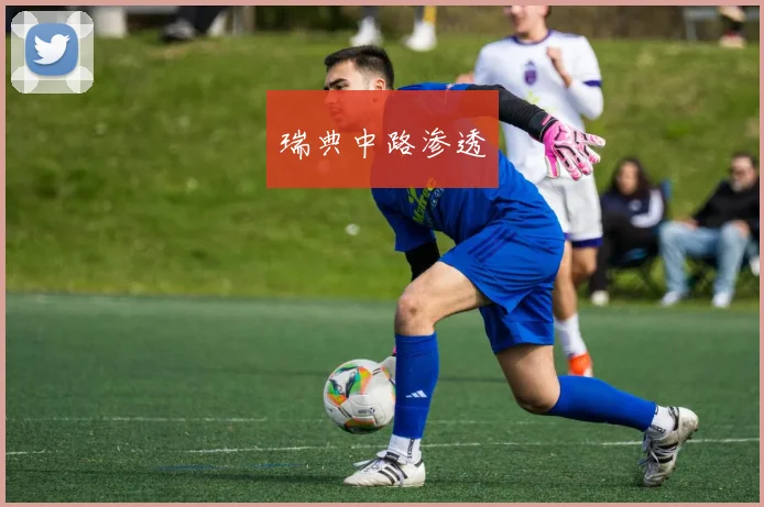 瑞典中路渗透