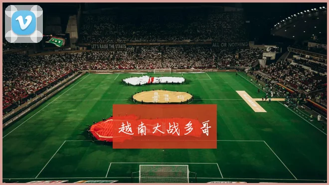 越南大战多哥