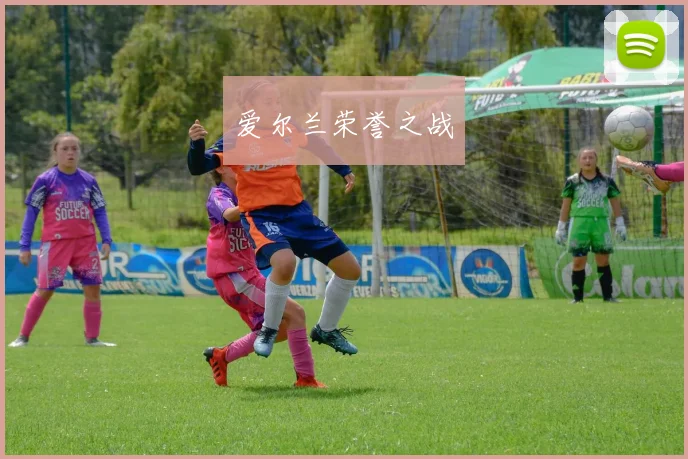 爱尔兰荣誉之战
