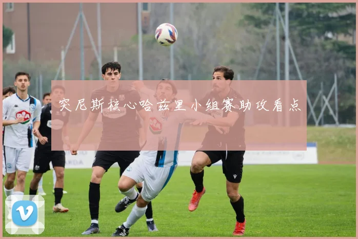 突尼斯核心哈兹里小组赛助攻看点