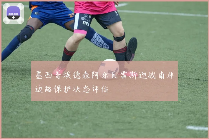 墨西哥埃德森阿尔瓦雷斯迎战南非边路保护状态评估