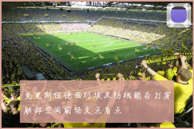 克里斯伍德面对埃及防线能否打穿肋部空间前场支点看点