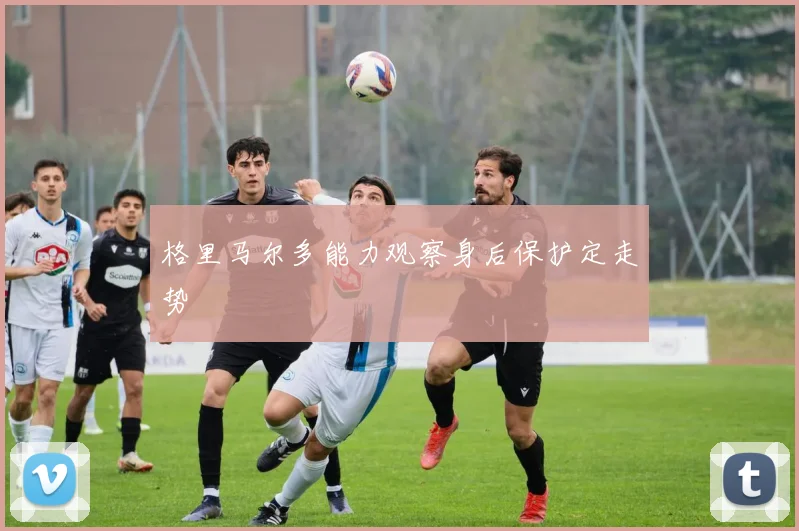 格里马尔多能力观察身后保护定走势