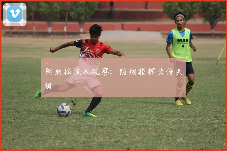 阿利松技术观察：防线指挥为何关键