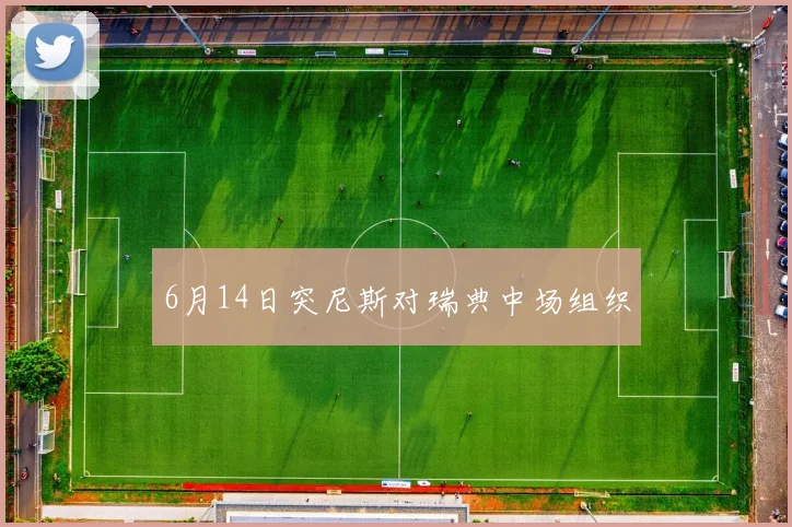 6月14日突尼斯对瑞典中场组织